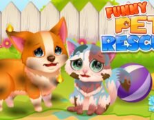 Funny Rescue Pet Game