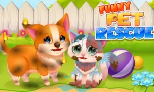 Funny Rescue Pet Game