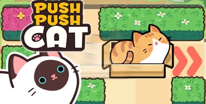 Push Push Cat Game