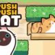 Push Push Cat Game